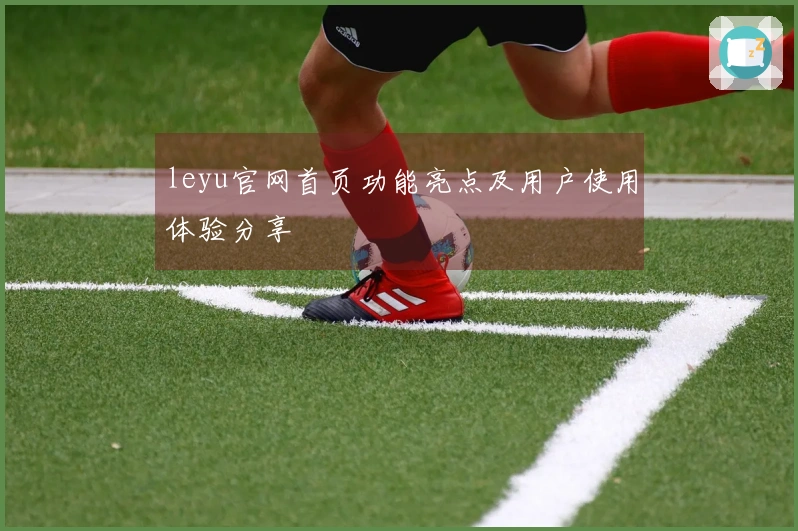 leyu官网首页功能亮点及用户使用体验分享
