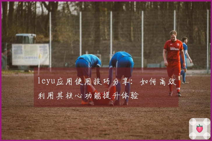 leyu应用使用技巧分享：如何高效利用其核心功能提升体验