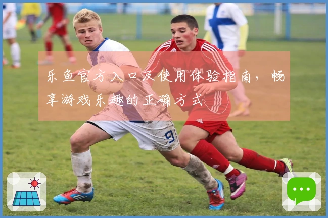 乐鱼官方入口及使用体验指南,畅享游戏乐趣的正确方式