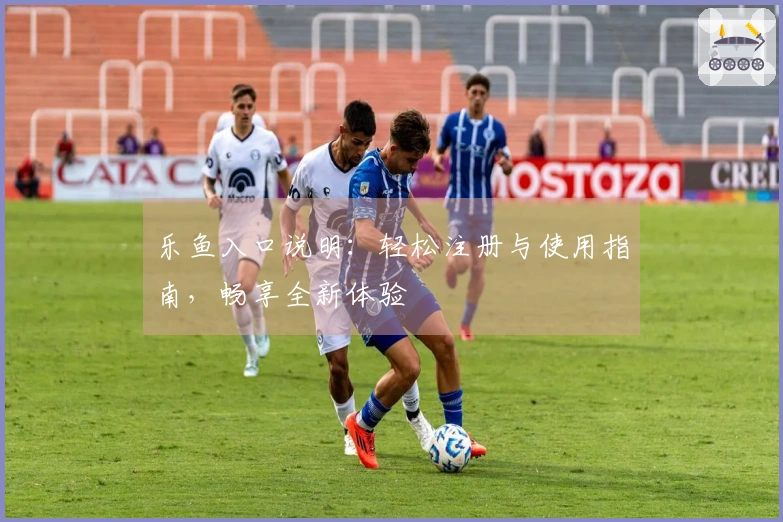 乐鱼入口说明：轻松注册与使用指南，畅享全新体验