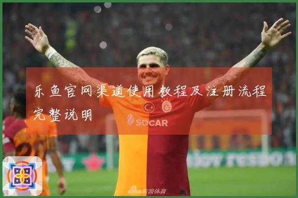 乐鱼官网渠道使用教程及注册流程完整说明