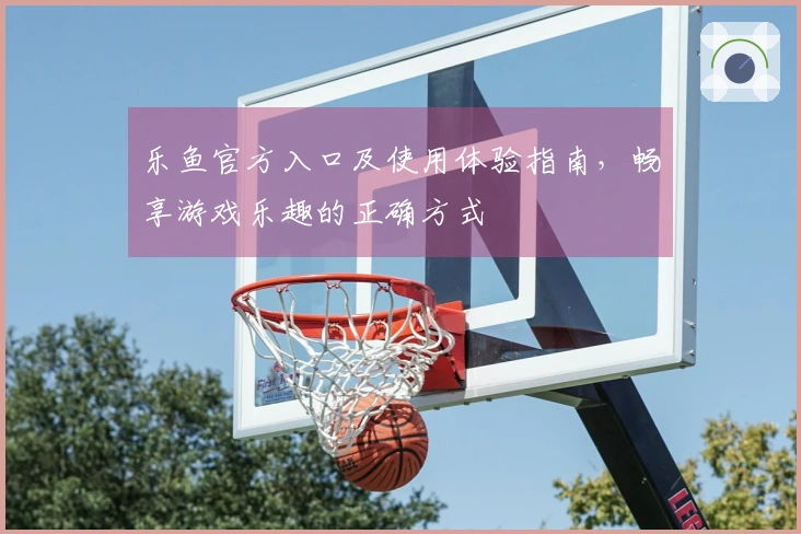 乐鱼官方入口及使用体验指南，畅享游戏乐趣的正确方式